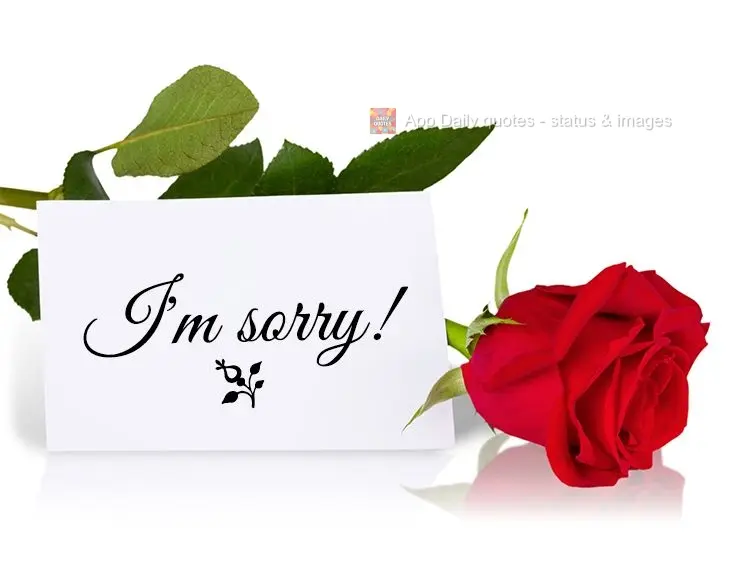 I'm sorry!