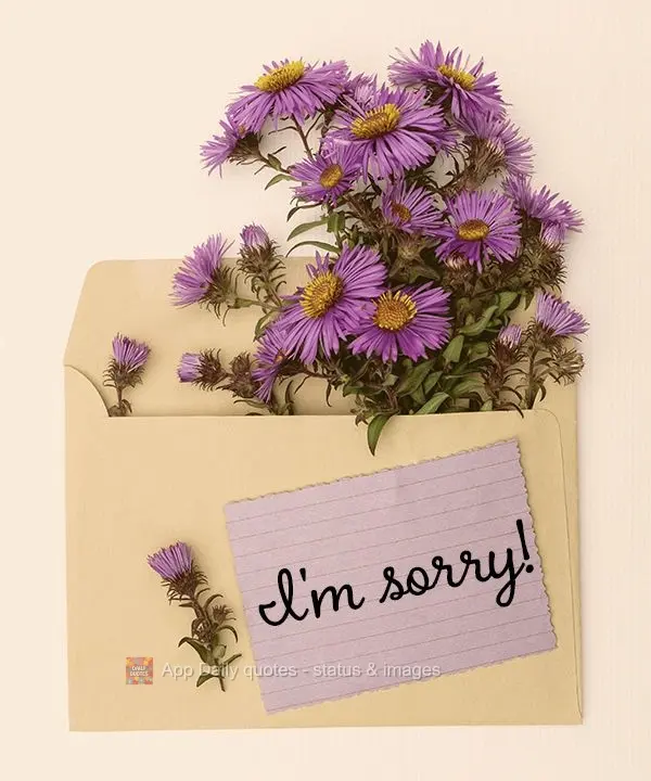 I'm sorry!
