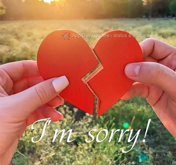 I'm sorry!