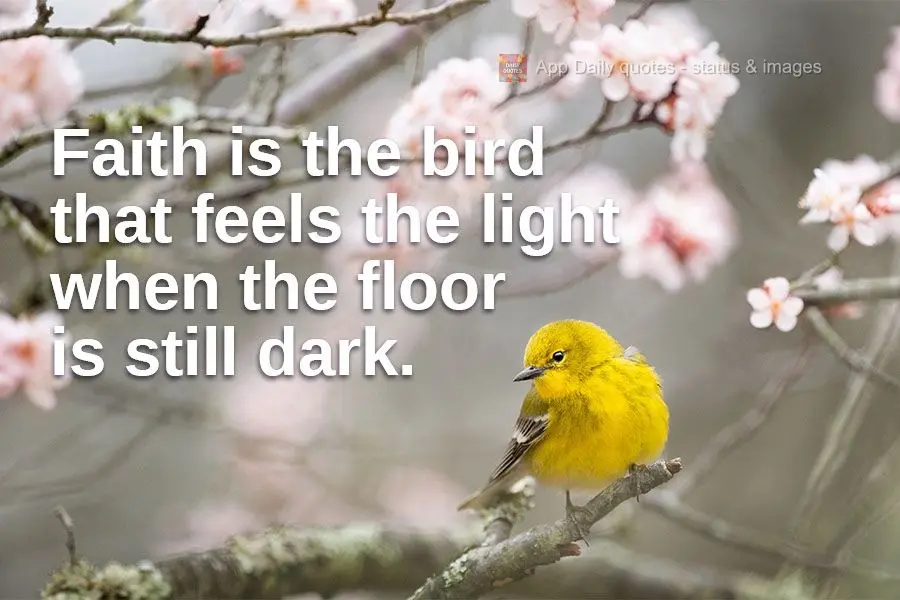 Faith is the bird that feels the light when the floor is still dark.