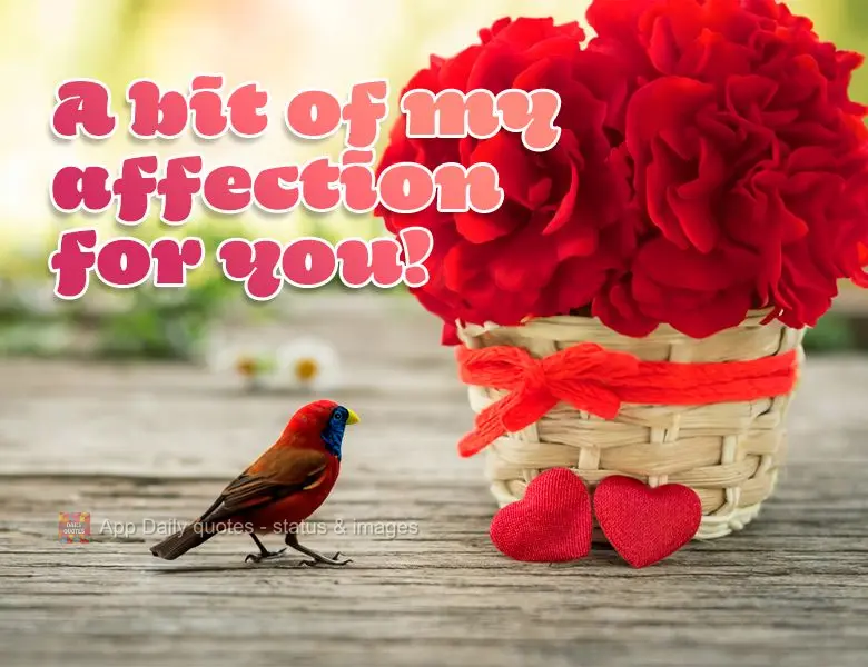 A bit of my affection for you!