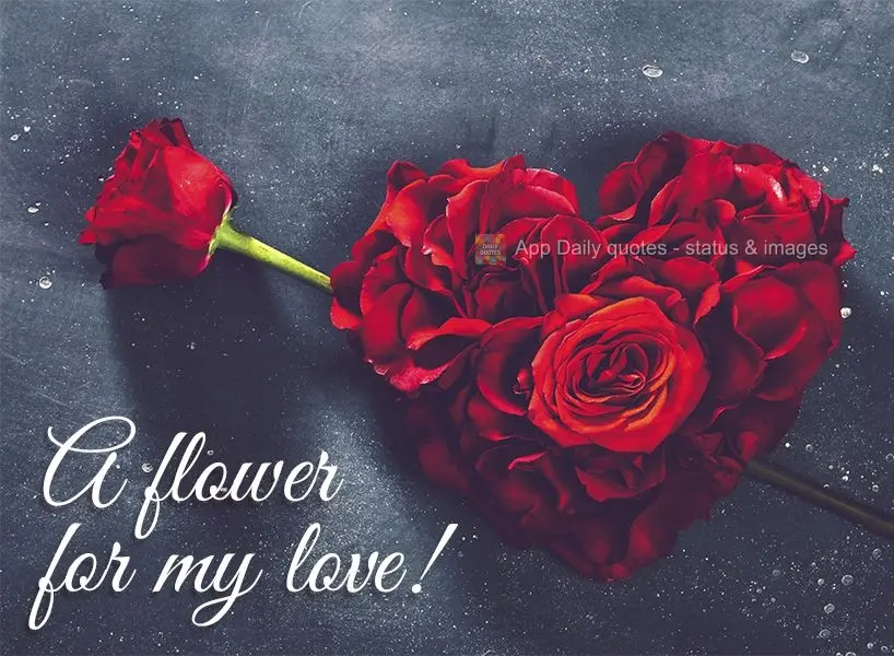 A flower for my love!
