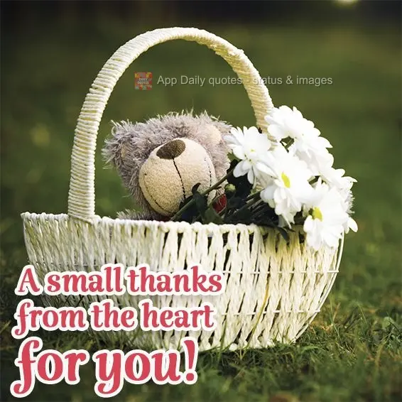 A small thanks from the bottom of my heart for you!