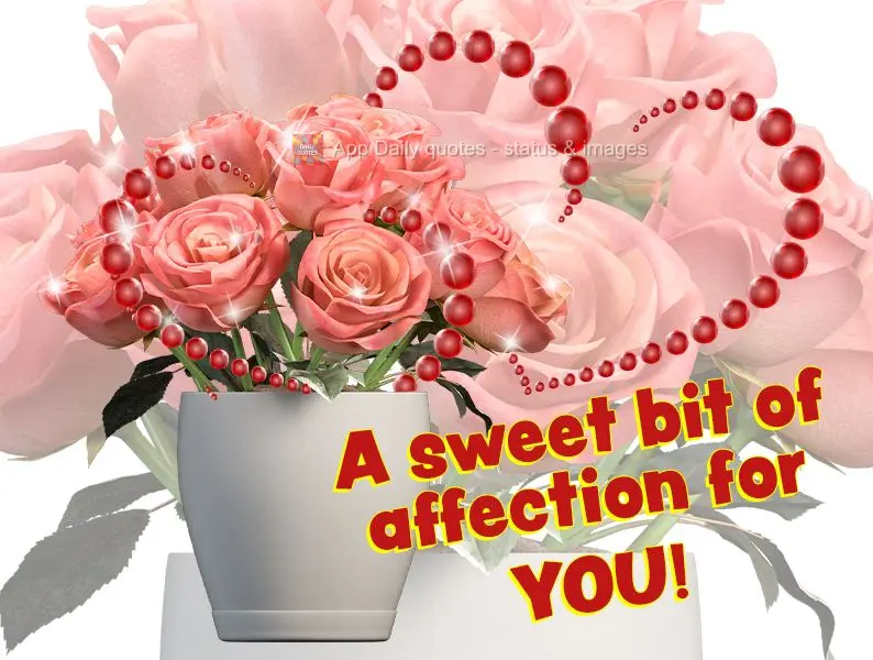A sweet bit of affection for you!