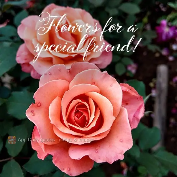 Flowers for a special friend!