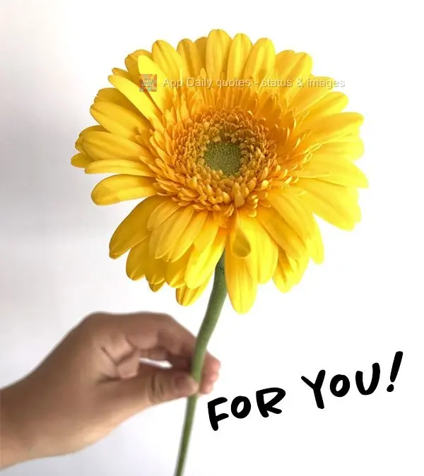 For you!