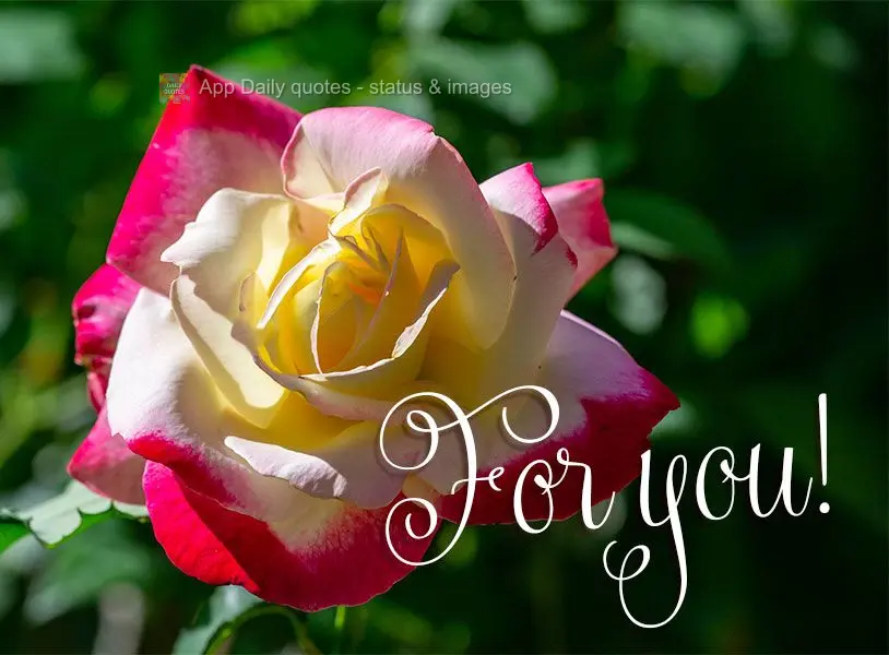 For you!