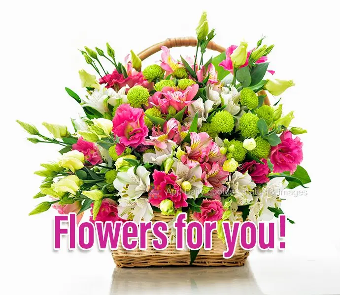 Flowers for you!