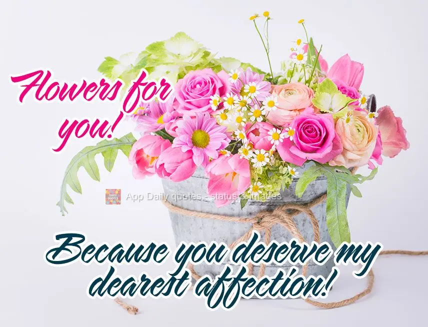 Flowers for you! Because you deserve my dearest affection!