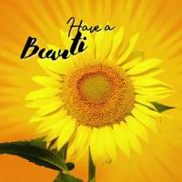 Have a beautiful day!