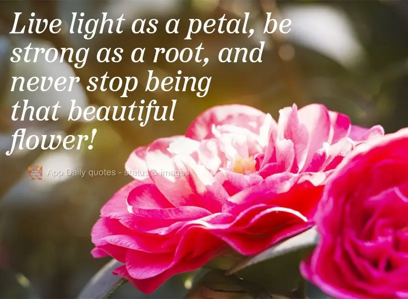 Live as light as a petal. Be as strong as a root. And never stop being a beautiful flower!