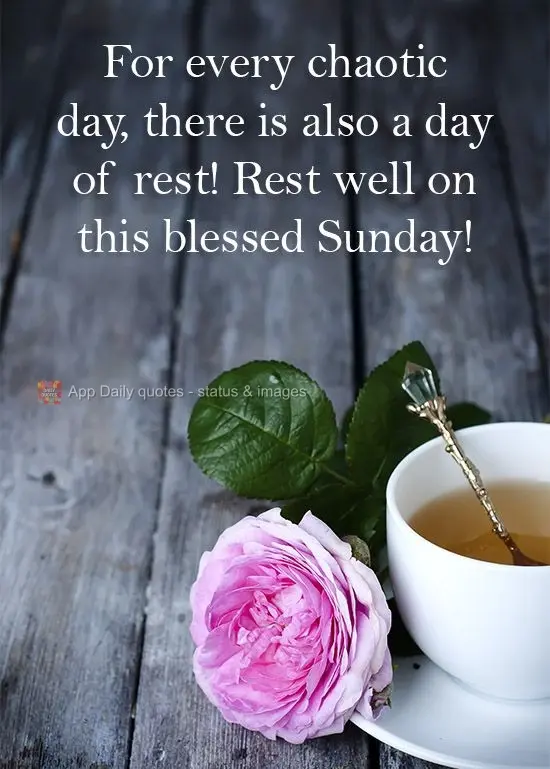 For every chaotic day, there is also a day of rest! Rest well on this blessed Sunday! 