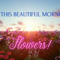 For this beautiful morning... Flowers!