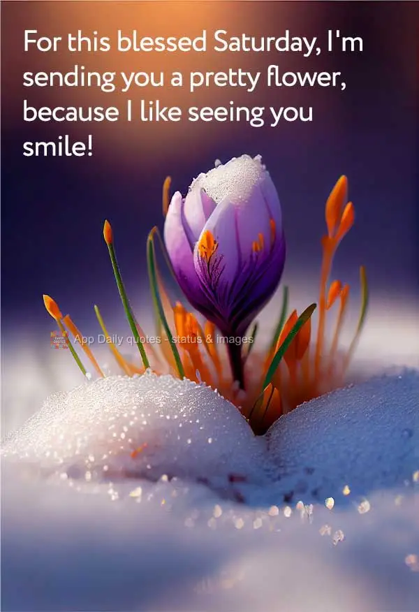 For this blessed Saturday, I'm sending you a pretty flower, because I like seeing you smile!