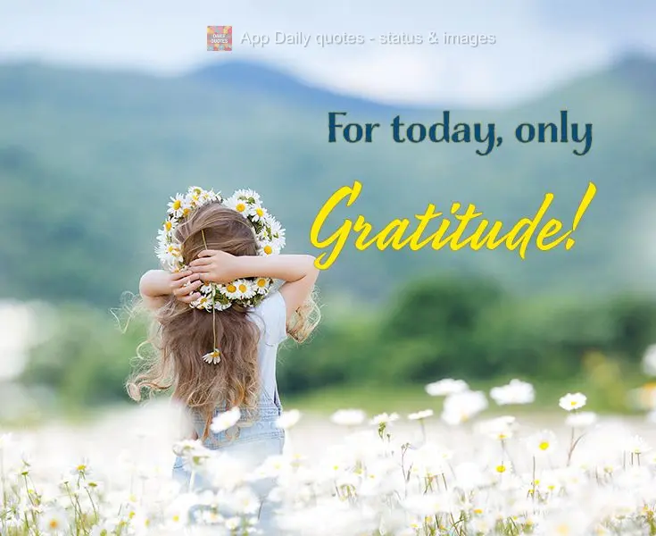 For today, only gratitude!