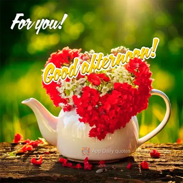 For you! Good afternoon!