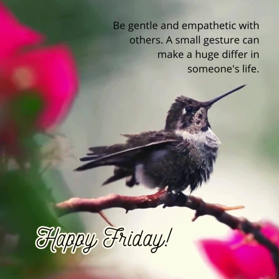 Be gentle and empathetic with others. A small gesture can make a huge differ in someone's life. Happy Friday!
