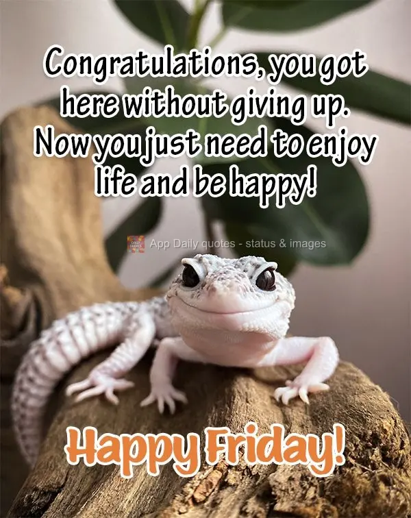 Congratulations, you got here without giving up. Now you just need to enjoy life and be happy! Happy Friday!