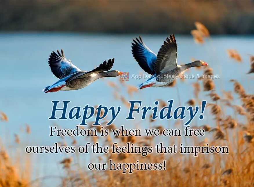Freedom is when we can free ourselves of the feelings that imprison our happiness! Happy Friday!