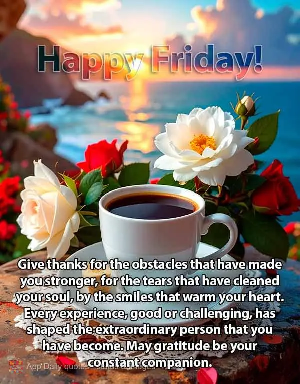 Give thanks for the obstacles that have made you stronger, for the tears that have cleaned your soul, by the smiles that warm your heart. Every experienc...