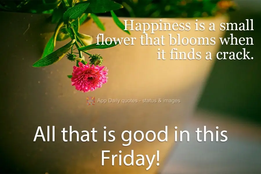 Happiness is a small flower that blooms when it finds a crack. All that is good in this Friday!