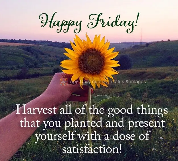 Harvest all of the good things that you planted and present yourself with a dose of satisfaction! Happy Friday!