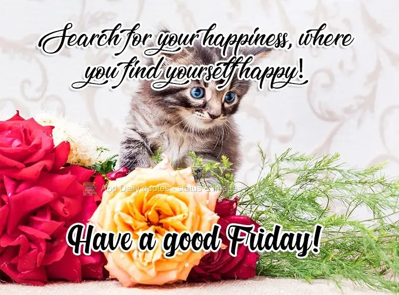 Seek happiness wherever you find yourself happy! Have a good Friday!