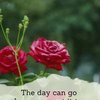 The day can go how you want it to, as long as your point of view tends to see the beautiful side of life! Happy Friday!