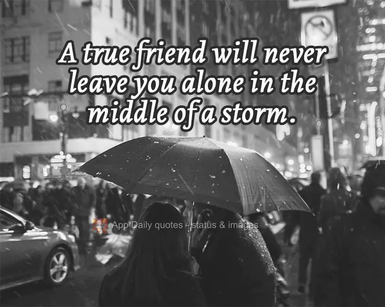 A true friend will never leave you alone in the middle of a storm.