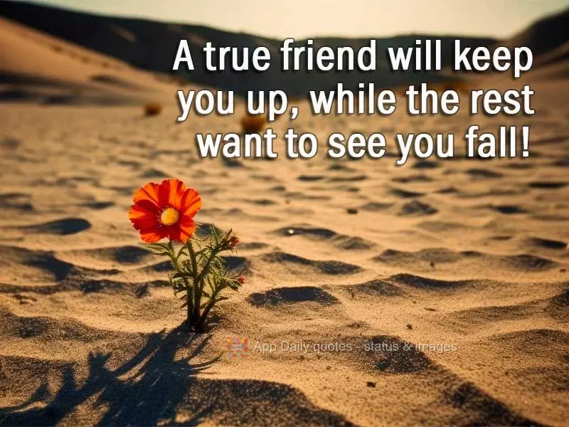 A true friend will prop you up, while the rest want to see you fall!