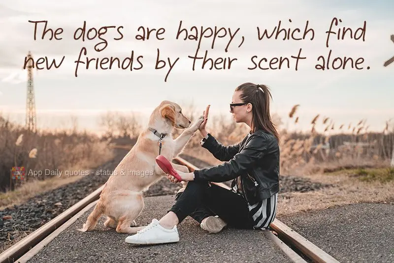 Dogs are happy, because they can find their friends by using their scent alone.