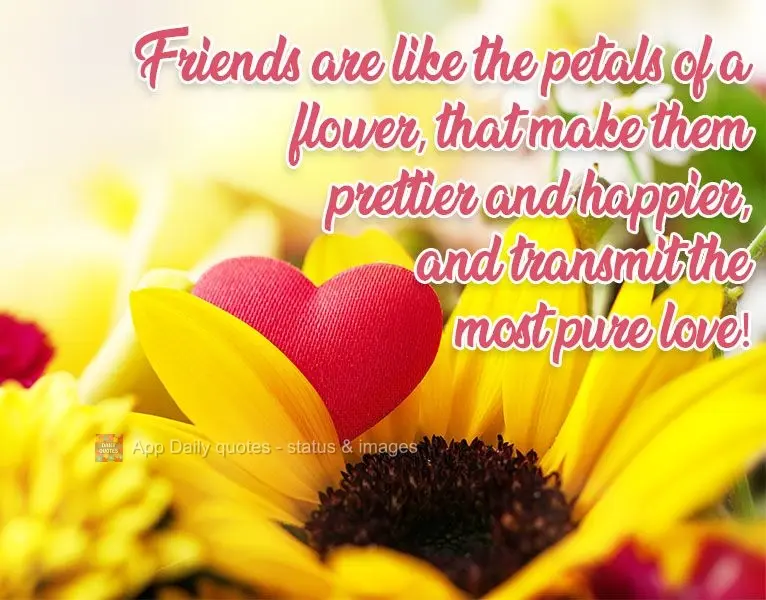 Friends are like the petals of a flower. They make them prettier and happier, and transmit the most pure love!