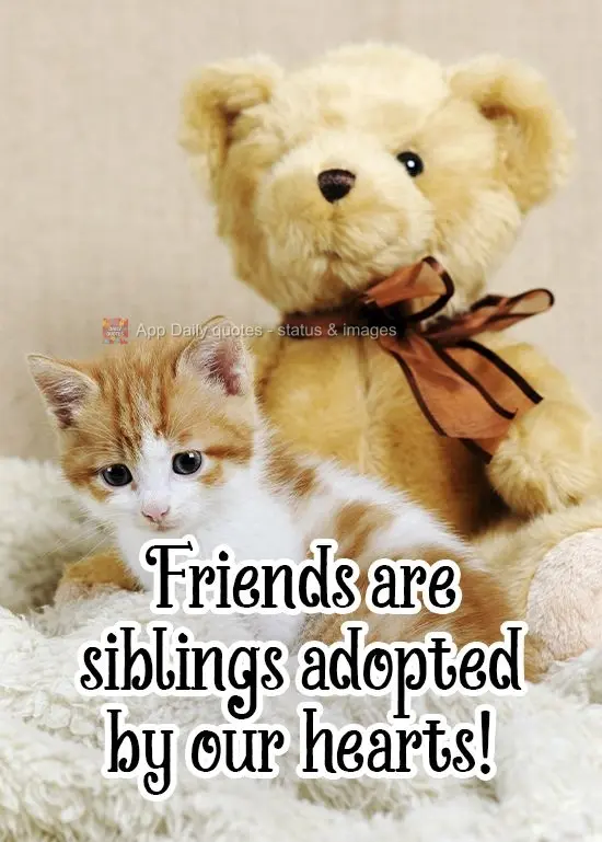 Friends are siblings adopted by our hearts! 