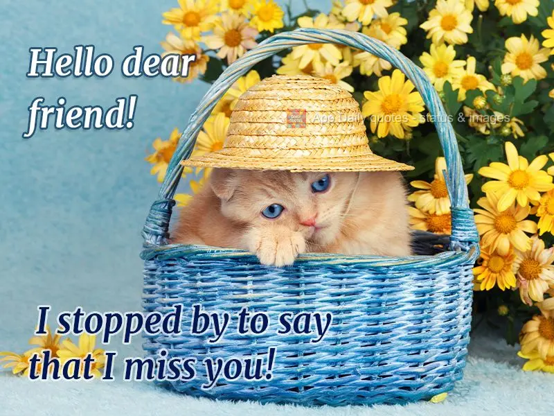 Hello dear friend! I stopped by to say that I miss you!