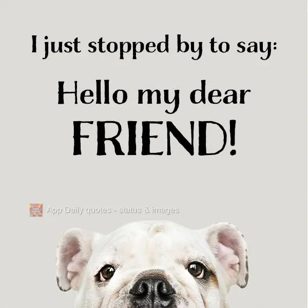 I just stopped by to say: Hello my dear friend!
