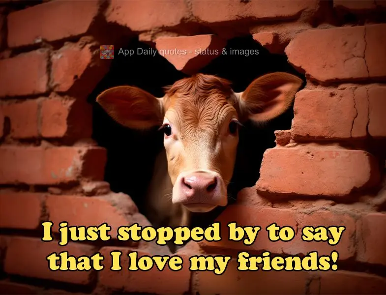 I just stopped by to say that I love my friends!