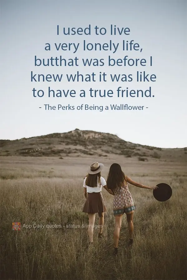 I used to live a very lonely life, but that was before I knew what it was like to have a true friend.  The Perks of Being a Wallflower 