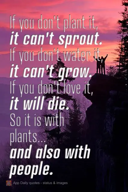If you don't plant it, it can't sprout. If you don't water it, it can't grow. If you don't love it, it will die.
So it is with plants... and also with p...