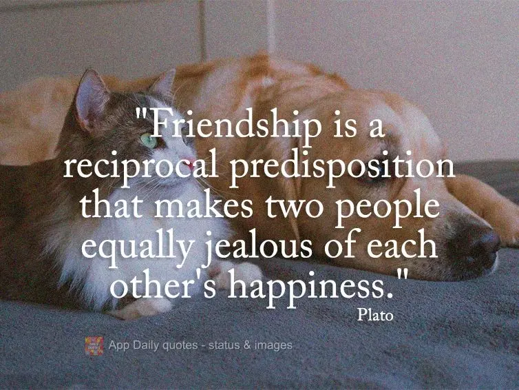 "Friendship is a reciprocal predisposition that makes two people equally jealous of each other's happiness." Plato
