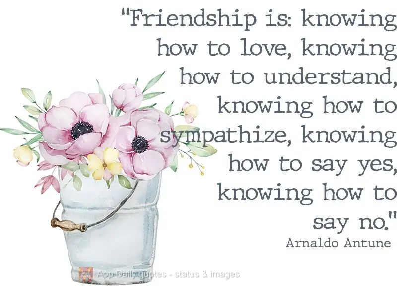"Friendship is: knowing how to love, knowing how to understand, knowing how to sympathize, knowing how to say yes, knowing how to say no." Arnaldo Antune...