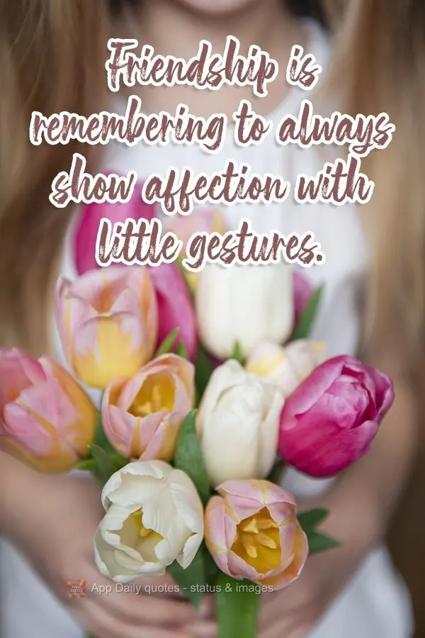 Friendship is remembering to always show affection with little gestures.