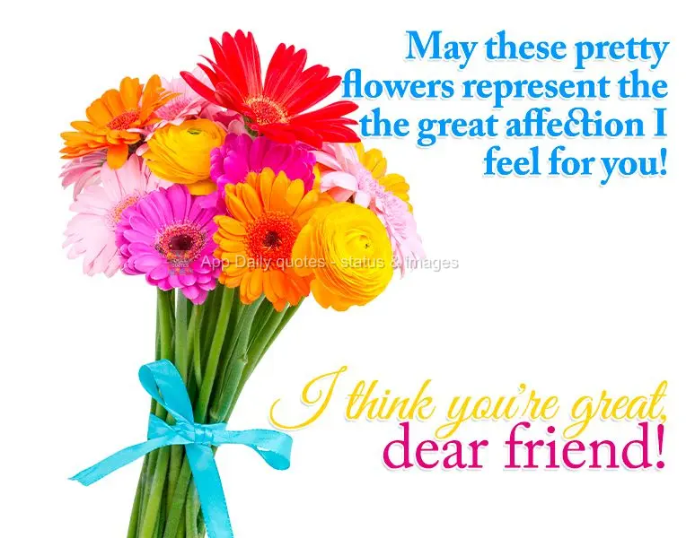May these pretty flowers represent the great affection I feel for you! I think you're great, dear friend!