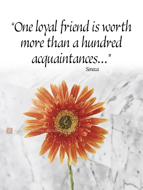 "One loyal friend is worth more than a hundred acquaintances..." Seneca