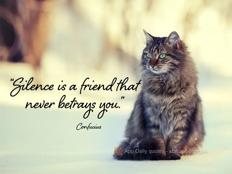"Silence is a friend that never betrays you." Confucius 