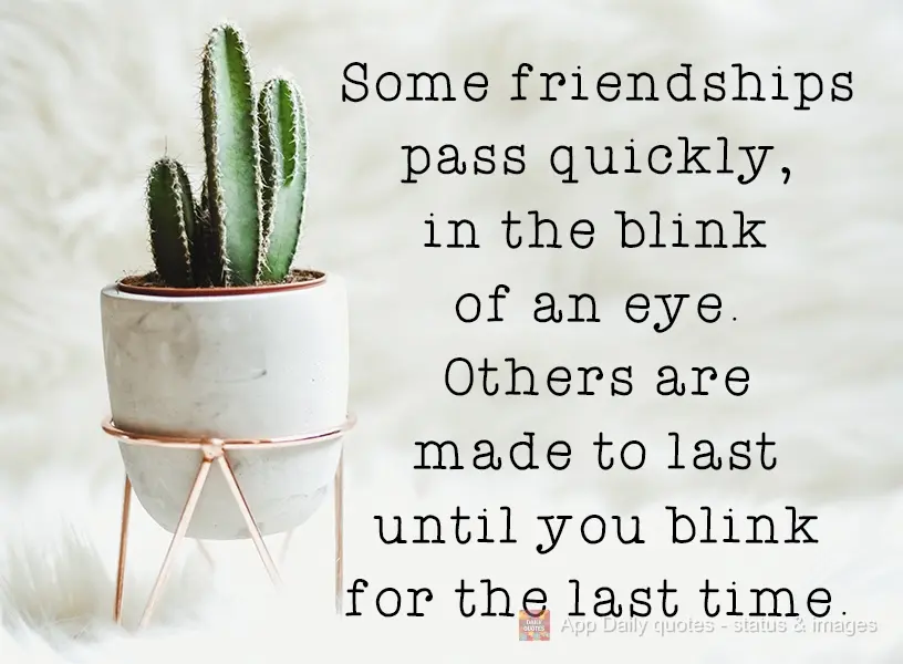 Some friendships pass quickly, in the blink of an eye. Others are made to last until you blink for the last time.