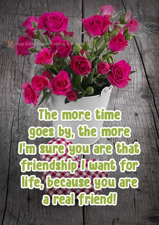 The more time goes by, the more I'm sure you are the friend I want for life, because you are a real friend!