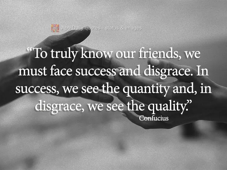 "To truly know our friends, we must face success and disgrace. In success, we see the quantity and, in disgrace, we see the quality." Confucius 