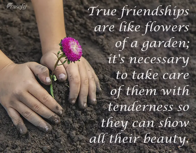 True friends are like flowers in a garden; you must take care of them tenderly so they can show all their beauty.