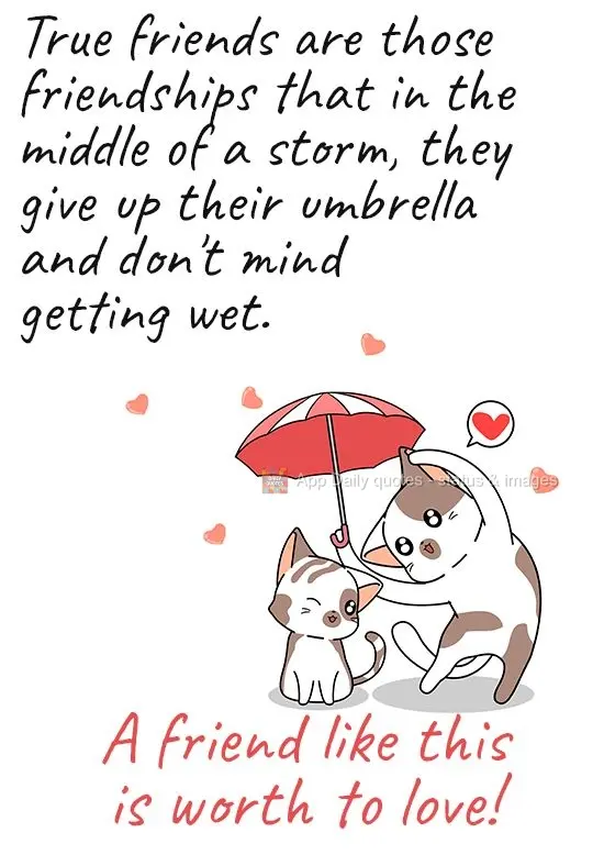 True friends are those friendships that in the middle of a storm, they give up their umbrella and don't mind getting wet. A friend like that is worth lov...