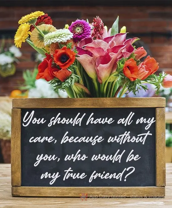 You deserve all my love, because without you, who would be my true friend? 